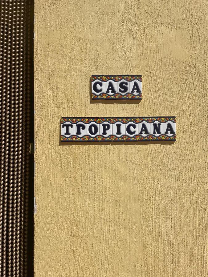 Air Conditioned "Casa Tropicana" Entire Villa Or Individual Apartments Мурсия Экстерьер фото